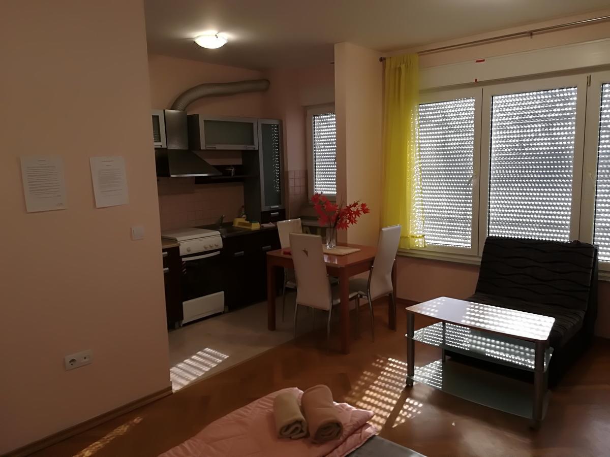 Guesthouse Sava スラヴォンスキ・ブロド エクステリア 写真