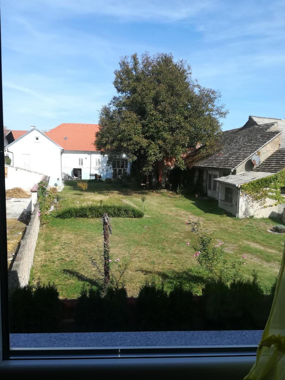 Guesthouse Sava スラヴォンスキ・ブロド エクステリア 写真