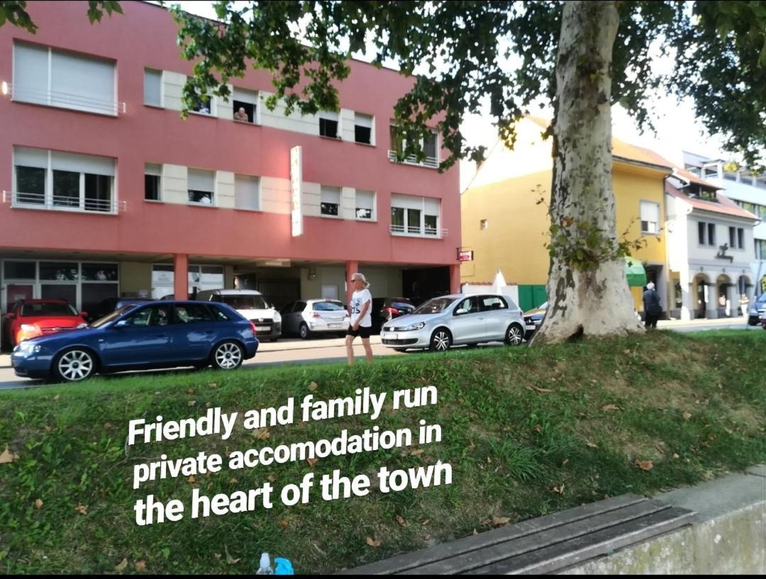 Guesthouse Sava スラヴォンスキ・ブロド エクステリア 写真